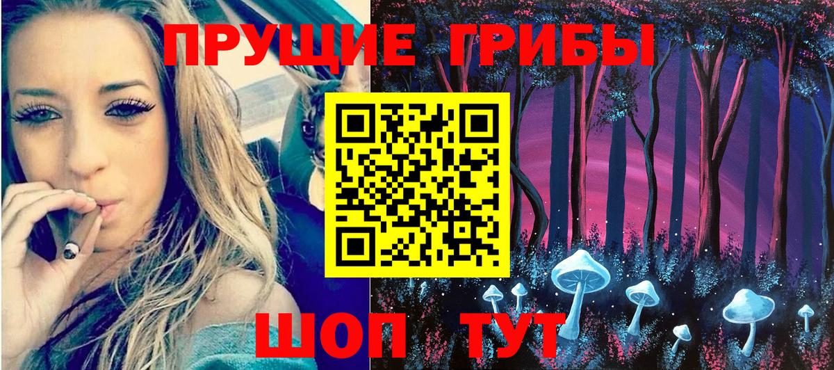 Псилоцибиновые грибы прущие грибы Изобильный