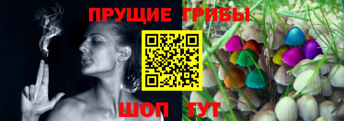 купить наркотик  Псилоцибиновые грибы Psilocybe  Вход с VPN  Галлюциногенные грибы GOLDEN TEACHER  Изобильный 